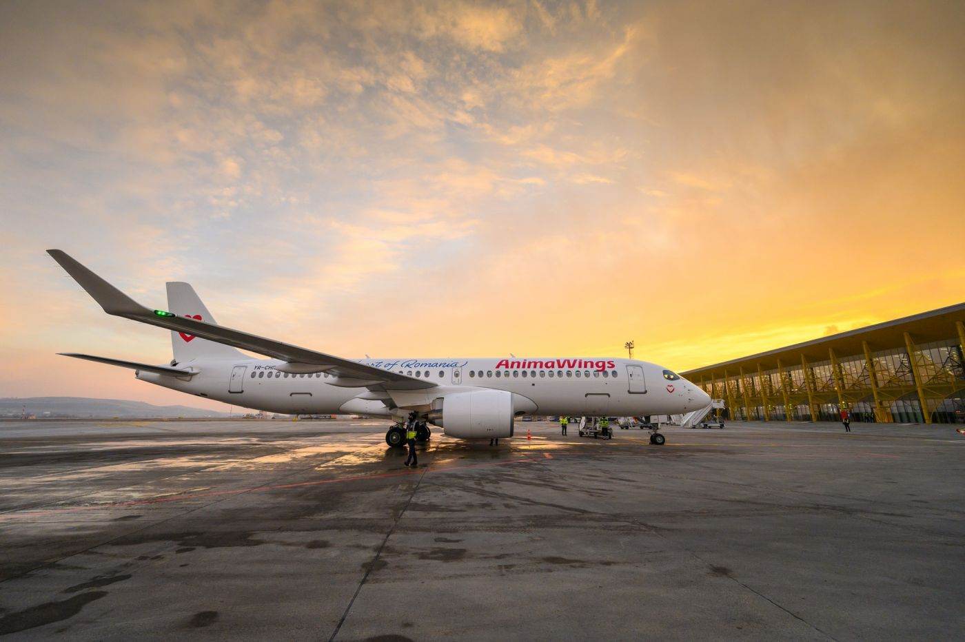 AnimaWings anunţă cinci noi rute aeriene din Timişoara, din 2026